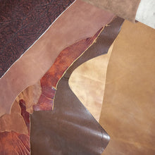 Load image into Gallery viewer, Mystery Goat Skins