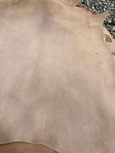 Load image into Gallery viewer, Exotic Embossed