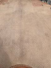 Load image into Gallery viewer, Exotic Embossed