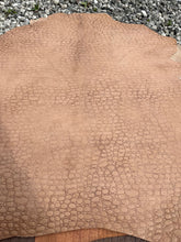 Load image into Gallery viewer, Exotic Embossed