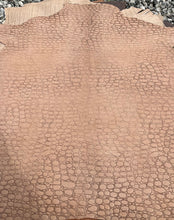 Load image into Gallery viewer, Exotic Embossed