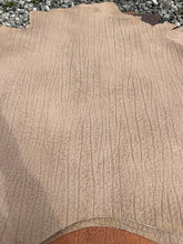 Load image into Gallery viewer, Exotic Embossed