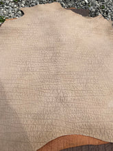 Load image into Gallery viewer, Exotic Embossed