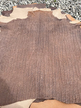 Load image into Gallery viewer, Exotic Embossed