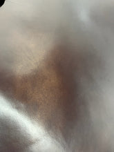 Load image into Gallery viewer, Santini Brush Off Goat