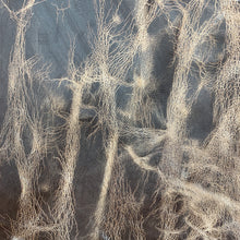 Load image into Gallery viewer, Mad Dog® is our signature trademarked Goat Leather. A unique and rare leather, Mad Dog® is produced on vegetable tanned farm reared African goats. Our signature recipe of natural oils and waxes used in the finishing, enhances the beauty of this unique and wild animal showcasing its unique grain pattern, resulting in a rich, aniline leather that ages beautifully and makes each article uniqu