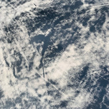 Load image into Gallery viewer, A very unique article, this distressed, two tone antiqued Cow Calf has been distressed by hand, so no two skins will ever look the same.