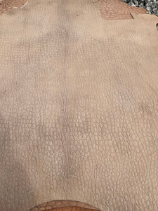 Exotic Embossed