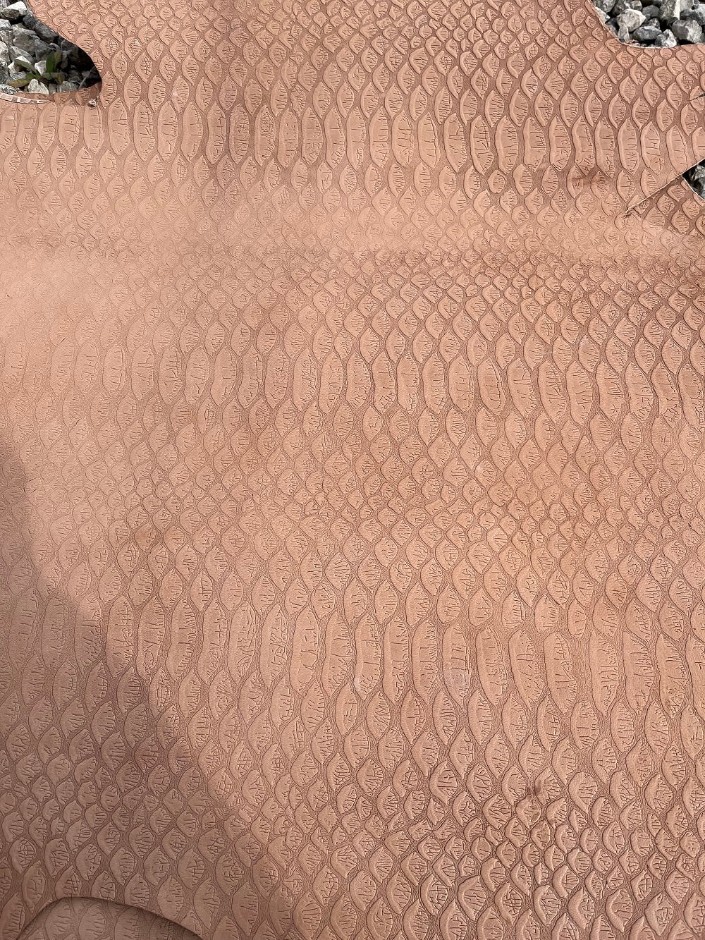 Exotic Embossed