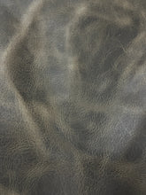 Load image into Gallery viewer, Reef- Wild Buffalo

